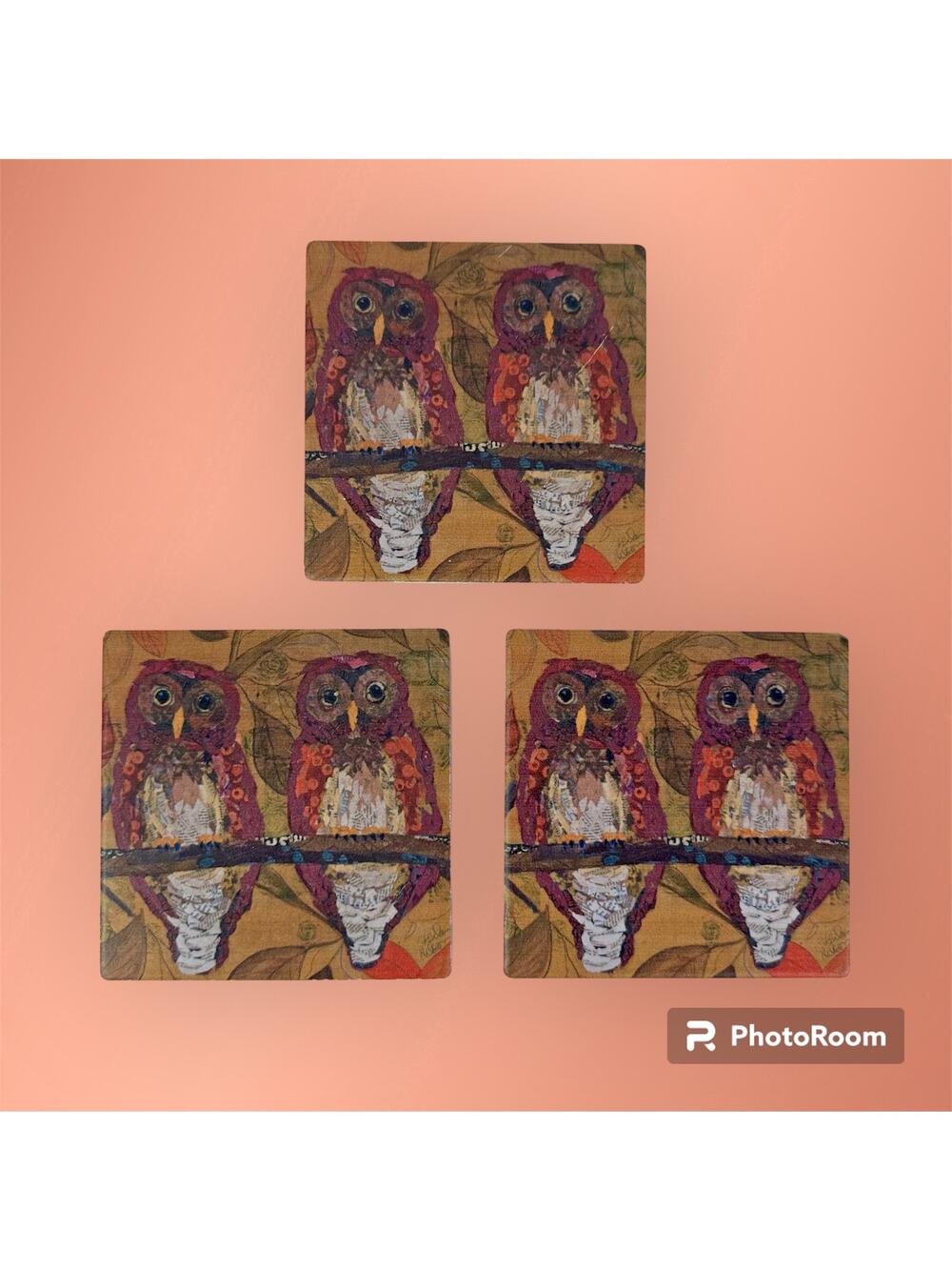 Thirstystone Set of 3 Hoo Hoo Owl Bird Coasters by Elizabeth St. Hilaire Nelson